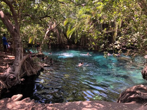 🌍 Taste of Tanzania: Cities, Culture & Chills in Arusha & Moshi 🦒🌋