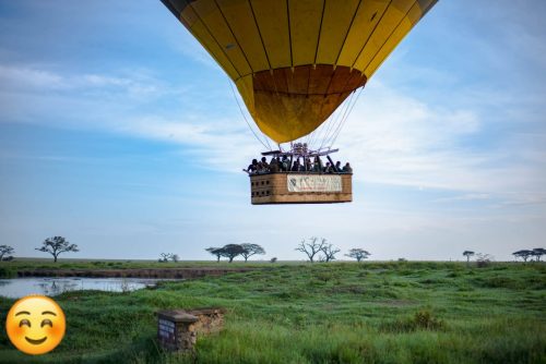 🦁 Tanzania Wild & Free: Safari Dreams & Crater Views 🌍🚙