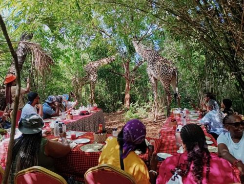 Ukunda Bush & Beach Bliss: Where Safari Meets the Sea