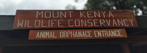 Nanyuki Unplugged: Mountains, Meals & Midnight Vibes!